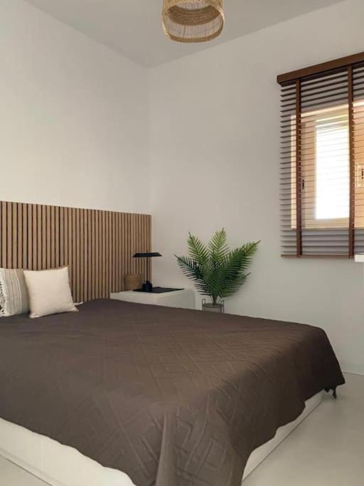 The Palm Apartment Karpathos Exterior photo